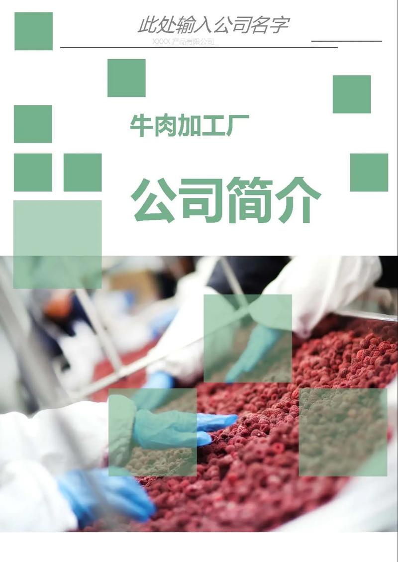 牛肉加工厂公司简介word 版范文.工厂类加工类新企业,还没