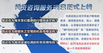 掘金未来 投资咨询服务盛大启航